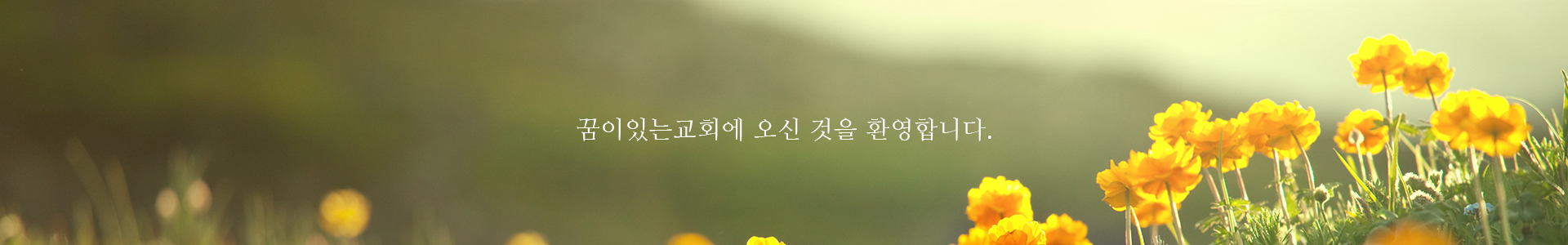 꿈이있는교회 PC 비주얼 0